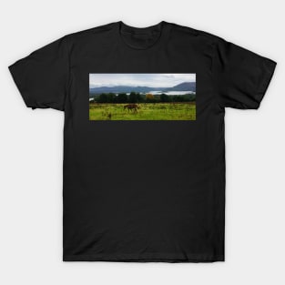 Scotland Country side T-Shirt
